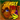 Times Played: 5362x