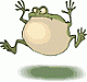 froggi999's Avatar
